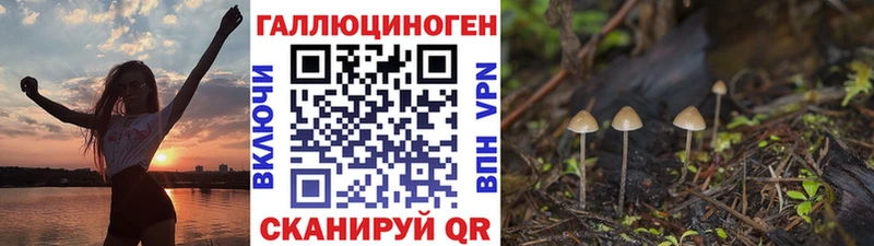 Галлюциногенные грибы прущие грибы  Вытегра 